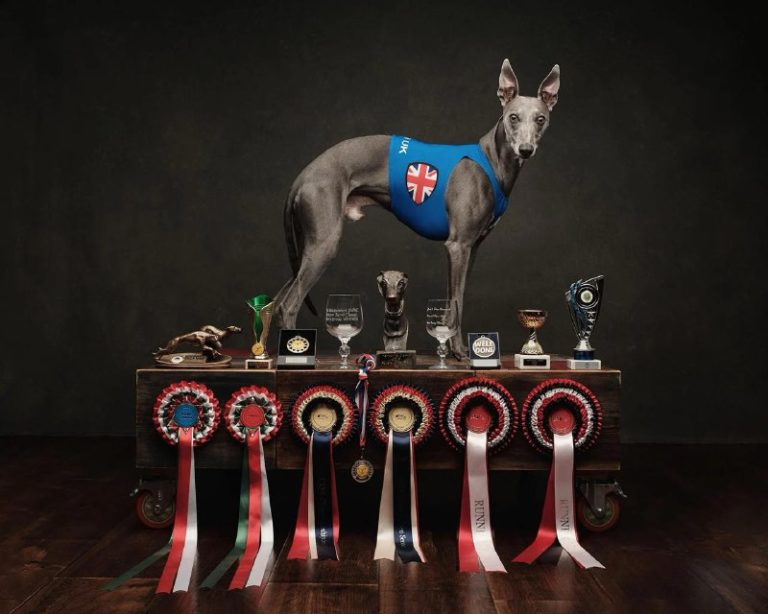 А вот и итоги интересной премии 2024 Photographer of the Year Award от The