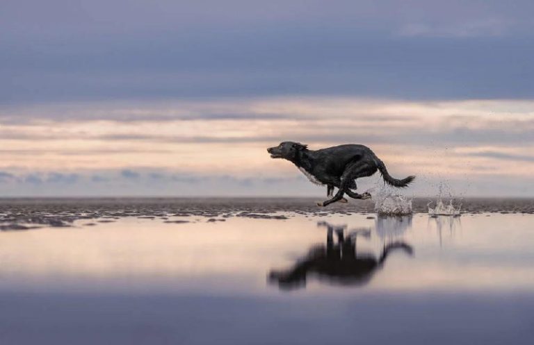 А вот и итоги интересной премии 2024 Photographer of the Year Award от The — фото 7