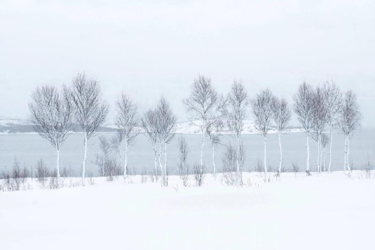 А это победители International Landscape Photographer of the Year 2025 — фото 9