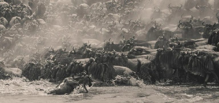 Объявлены официальные победители премии 2025 International Pano Awards — фото 4