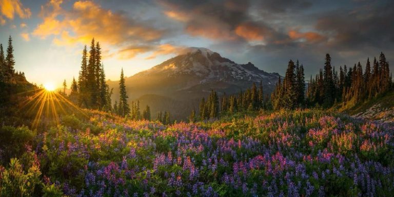 Объявлены официальные победители премии 2025 International Pano Awards — фото 6