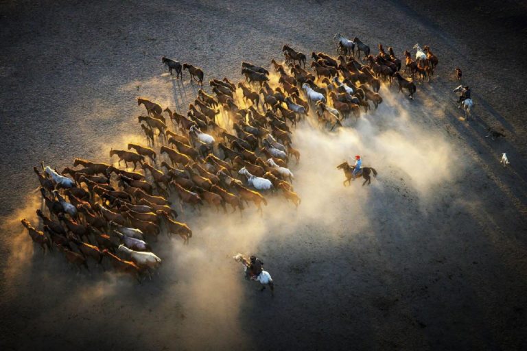 Sony World Photography Awards 2027 — конкурс с бесплатным участием и призом в $25 000 — фото 3