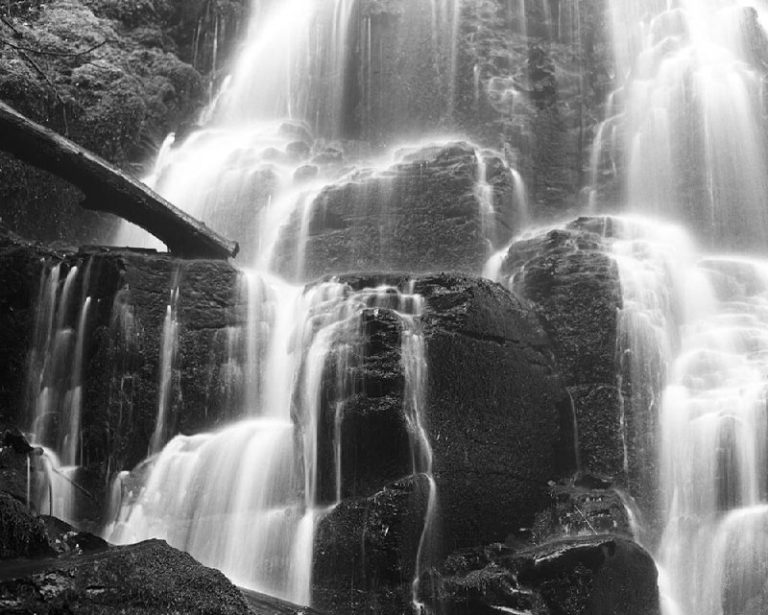 Ilford Pan F Plus 50 — легендарная ч/б плёнка с самым мелким зерном теперь и в листах — фото 7
