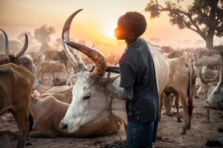 European Photography Awards 2026: чайка над пастью кита принесла главный приз — фото 4