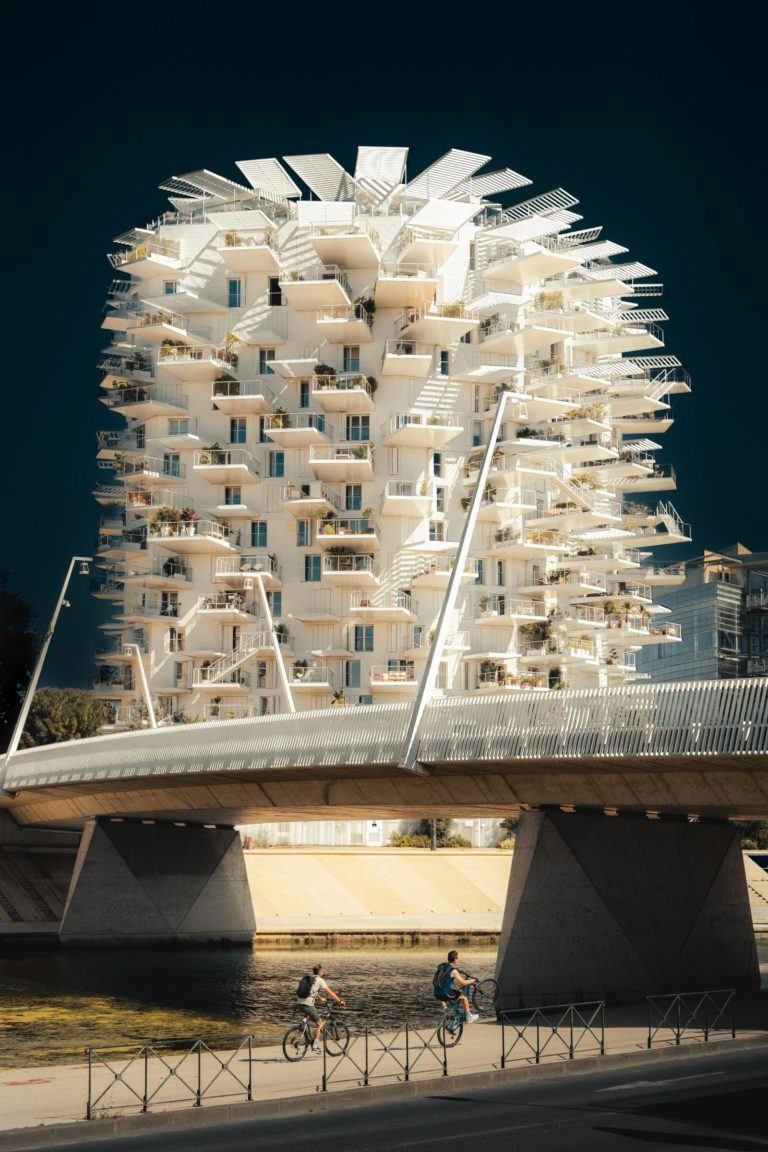 European Photography Awards 2026: чайка над пастью кита принесла главный приз — фото 7