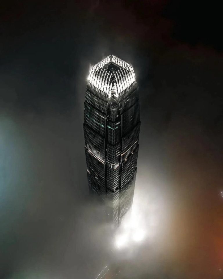 European Photography Awards 2026: чайка над пастью кита принесла главный приз — фото 8