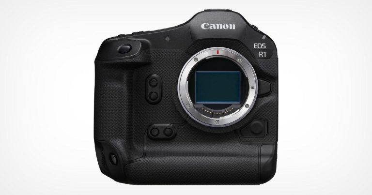 Canon EOS R4 замечена в списке поддерживаемых Adobe Camera RAW — фото 2