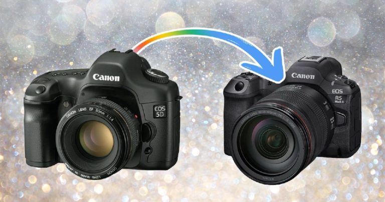 Canon EOS R4 замечена в списке поддерживаемых Adobe Camera RAW — фото 5