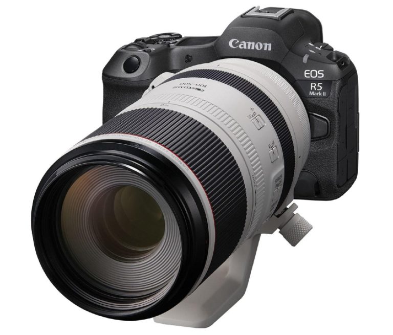 Canon EOS R4 замечена в списке поддерживаемых Adobe Camera RAW — фото 9