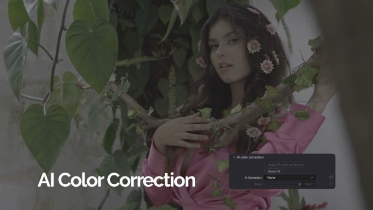 Retouch4me выпустила в мире Lab Video — ИИ-плагин для киношного цвета в DaVinci Resolve — фото 4