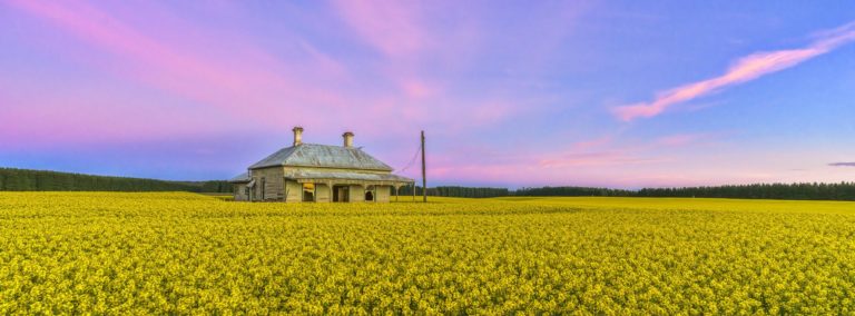 The Landscape Awards 2027 открыт: только настоящие пейзажи и никакого ИИ — фото 5
