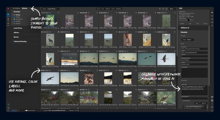 Вышел ON1 Photo RAW 2026.5.2 — быстрее фильтры и новые профили объективов — фото 6