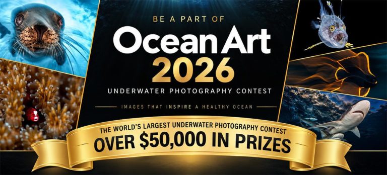 Стартовал Ocean Art 2026 — конкурс подводной фотографии с призами на $50 000 — фото 2