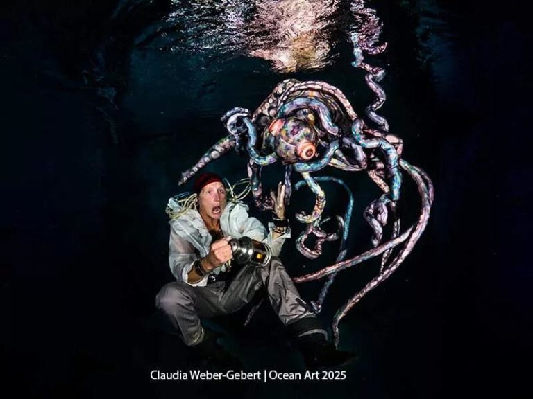 Стартовал Ocean Art 2026 — конкурс подводной фотографии с призами на $50 000 — фото 5
