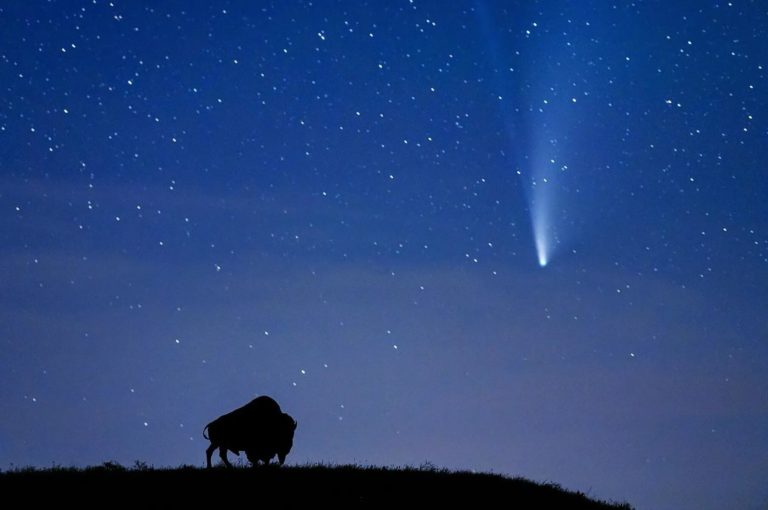 VSCO выбрала первых 25 фотографов для билбордов по всей Америке — фото 7