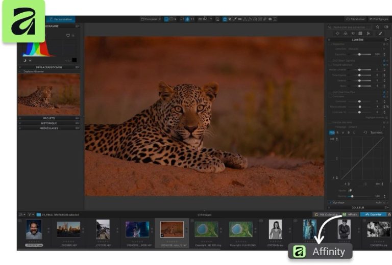 Вышел DxO PhotoLab 10.1 с экспортом в Affinity в один клик