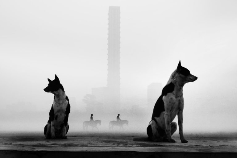 Конкурс уличной фотографии World Street Photo Awards 2026 завершает приём 10 октября — фото 4