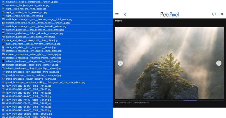 ИИ-агенты для фотографов: кто возьмёт на себя ресайз, подписи и поиск точки съёмки — фото 3