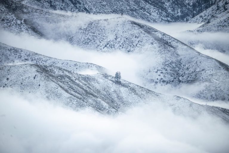 Пойманный момент: 10 лучших работ недели на Sony World Photography Awards 2027 — фото 8