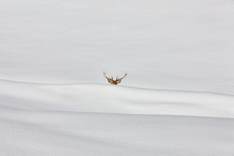 Minimalist Photography Awards 2026: замёрзшие озёра с дрона принесли главный приз — фото 4