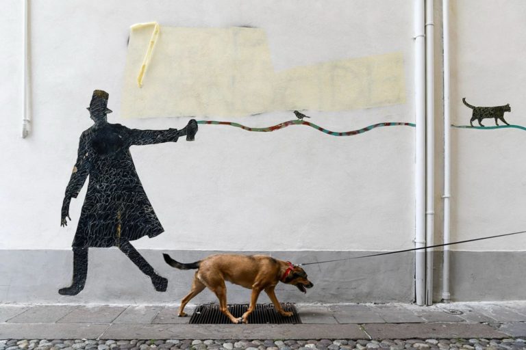 Pure Street Photography Awards 2026: скачки в Шантийи сквозь стекло старой машины — фото 9