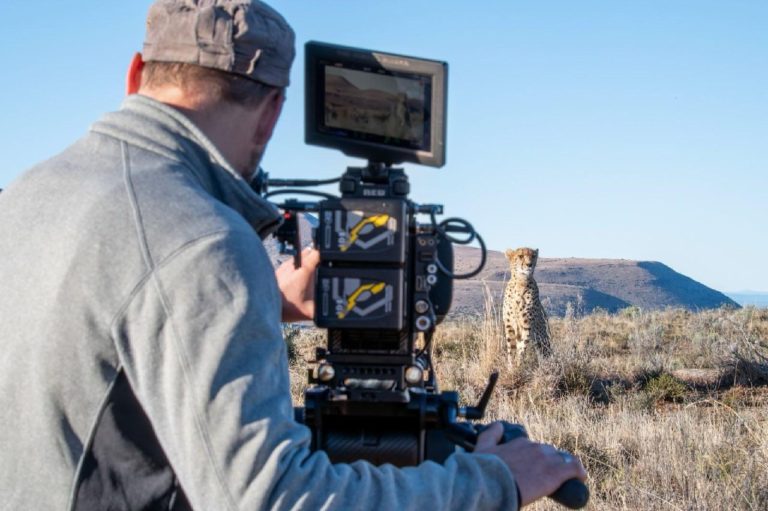 Чем снимали новый сериал Nat Geo об Африке: ИК-камеры в пещере и боксы против бегемотов
