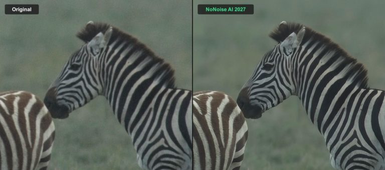 ON1 NoNoise AI 2027: ИИ-шумодав для звёзд, кожи и меха — и снова без подписки — фото 7