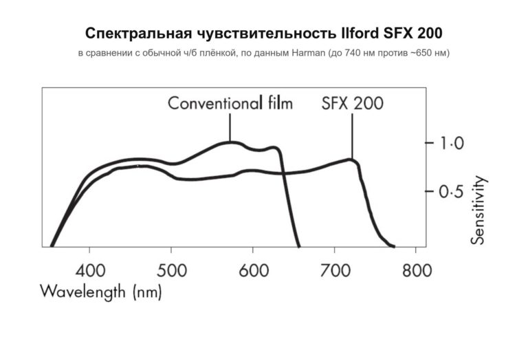 Ilford SFX 200 — почти ИК ч/б плёнка снова в России — фото 4