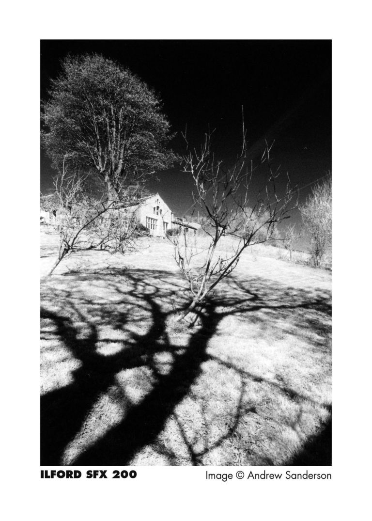 Ilford SFX 200 — почти ИК ч/б плёнка снова в России — фото 5
