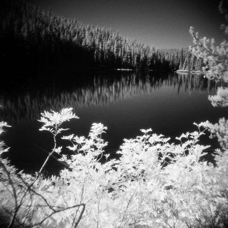 Ilford SFX 200 — почти ИК ч/б плёнка снова в России — фото 6