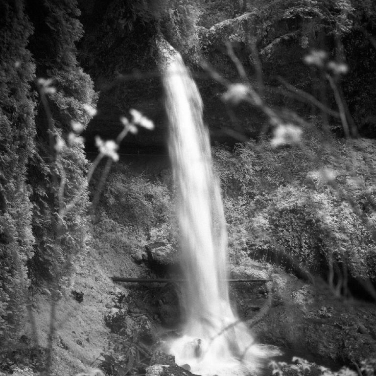 Ilford SFX 200 — почти ИК ч/б плёнка снова в России — фото 9