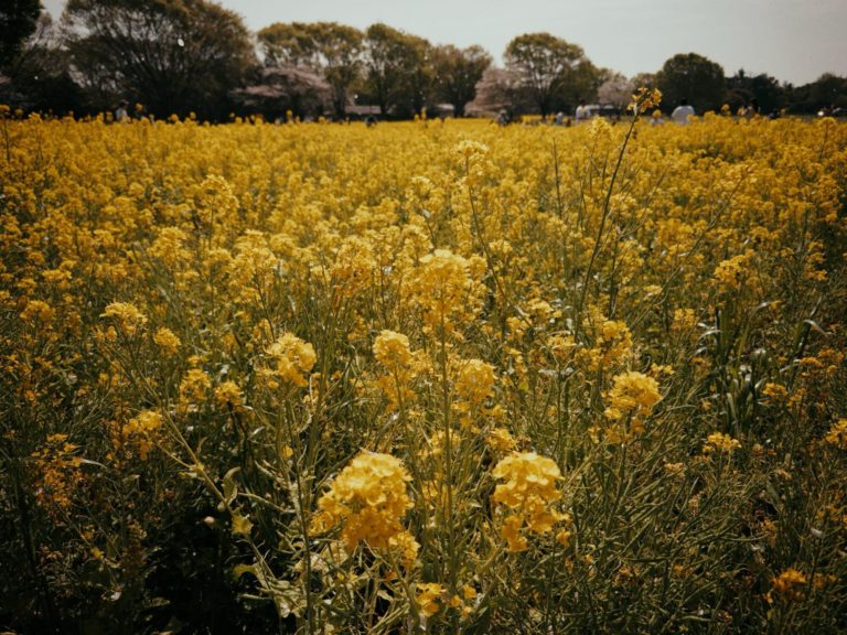 Halide 3.2: на iPhone 18 Pro теперь любая диафрагма от f/1.48 до f/4 — фото 8
