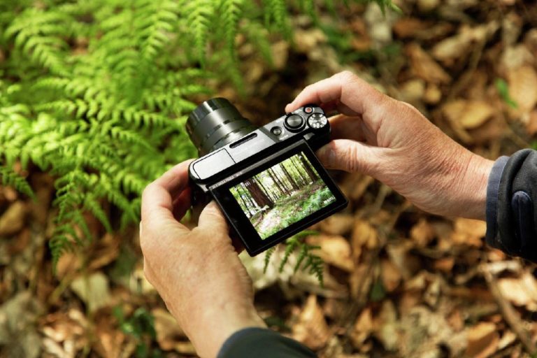 Canon PowerShot SX740 HS — камера 2018 года с 40× зумом снова №1 в Японии — фото 10