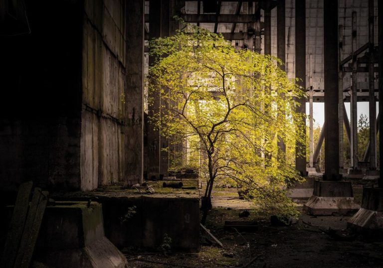 Фестиваль Photo Fringe в Брайтоне: месяц фотографии — и все выставки онлайн — фото 7