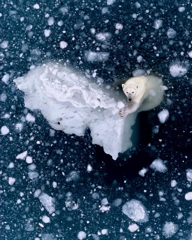 British Photography Awards 2026: 500 кадров в шорт-листе — проголосовать может любой