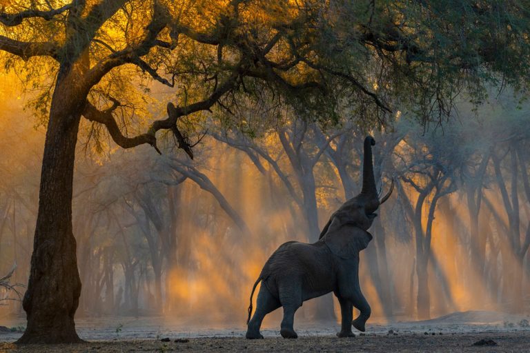 Бесплатный фотоконкурс Xposure в Шардже собрал больше 22 000 работ из 108 стран — фото 2