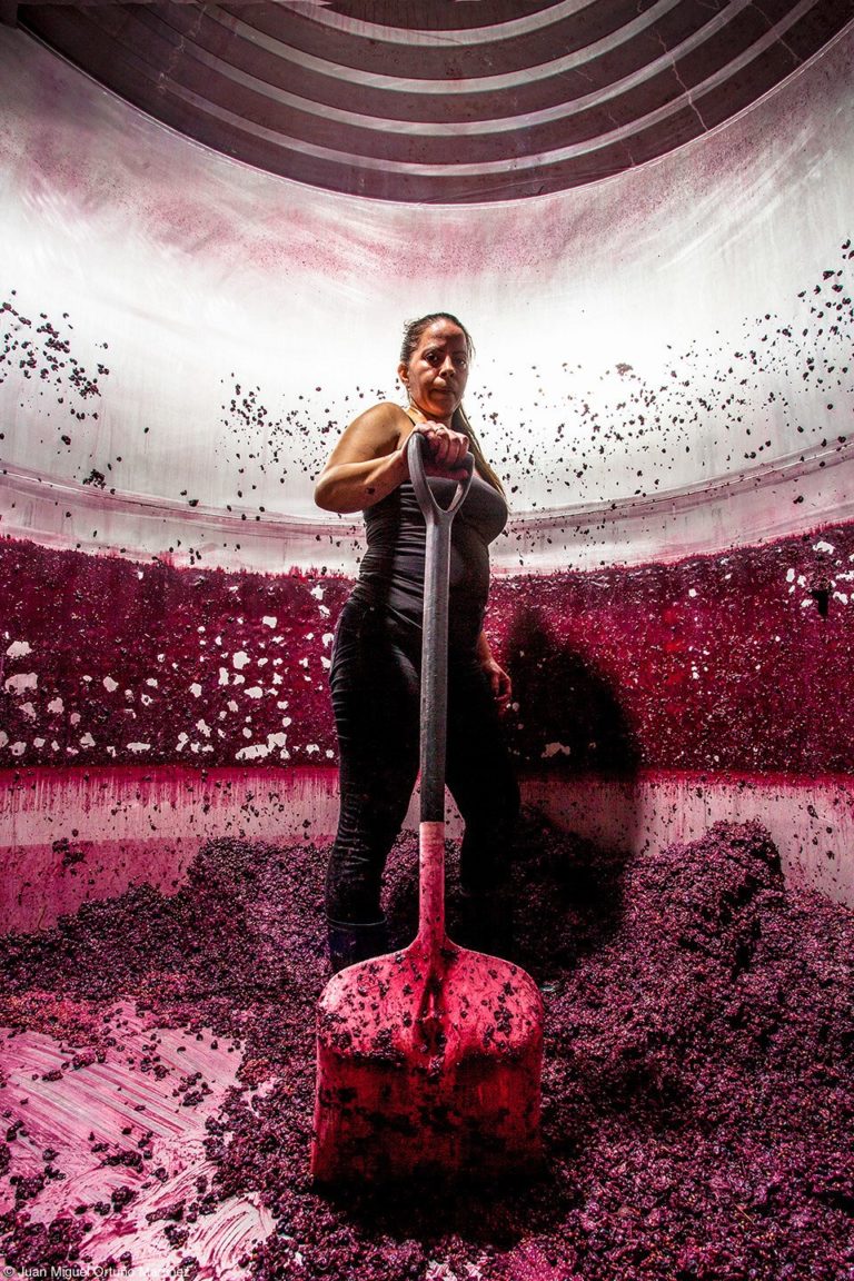 Снимок из винного чана почти без света: открыт приём на Wine Photographer of — фото 3