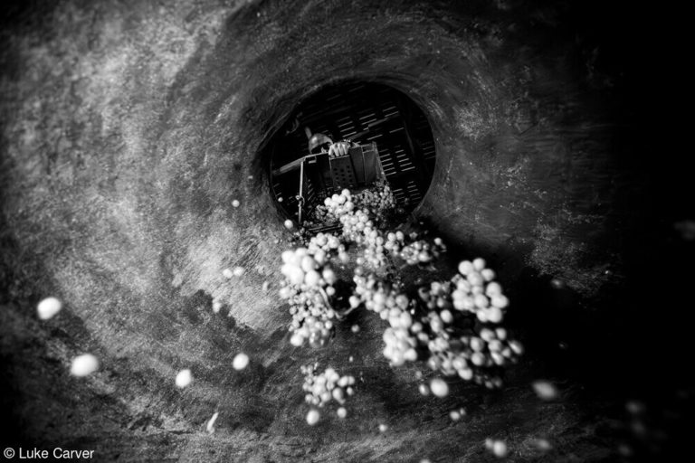 Снимок из винного чана почти без света: открыт приём на Wine Photographer of — фото 4