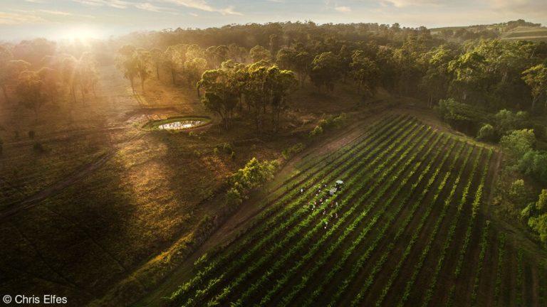 Снимок из винного чана почти без света: открыт приём на Wine Photographer of — фото 7
