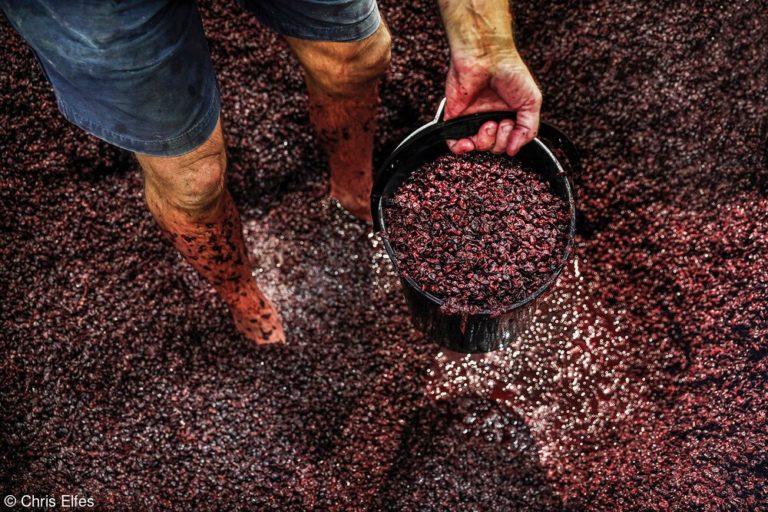 Снимок из винного чана почти без света: открыт приём на Wine Photographer of — фото 8