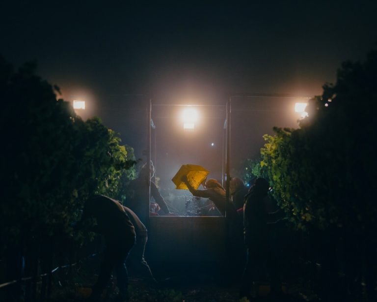 Снимок из винного чана почти без света: открыт приём на Wine Photographer of — фото 9