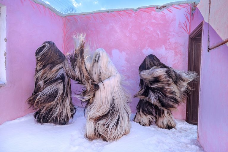 Кот-пастух и медведь в косяке лосося: лучшие кадры Nat Geo за сентябрь — фото 9