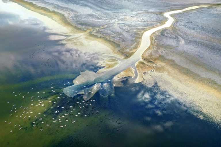 Птица в трубе с мусором и куница среди бетона: итоги фотоконкурса EEA Resilient by Nature — фото 2