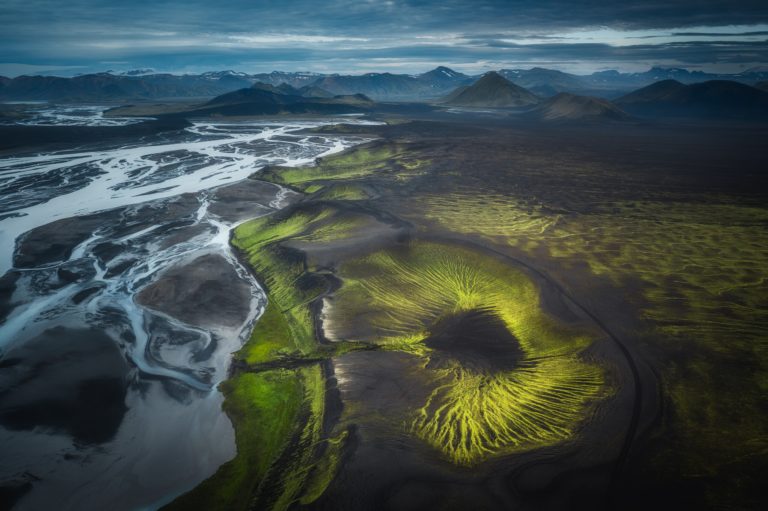 Птица в трубе с мусором и куница среди бетона: итоги фотоконкурса EEA Resilient by Nature — фото 4
