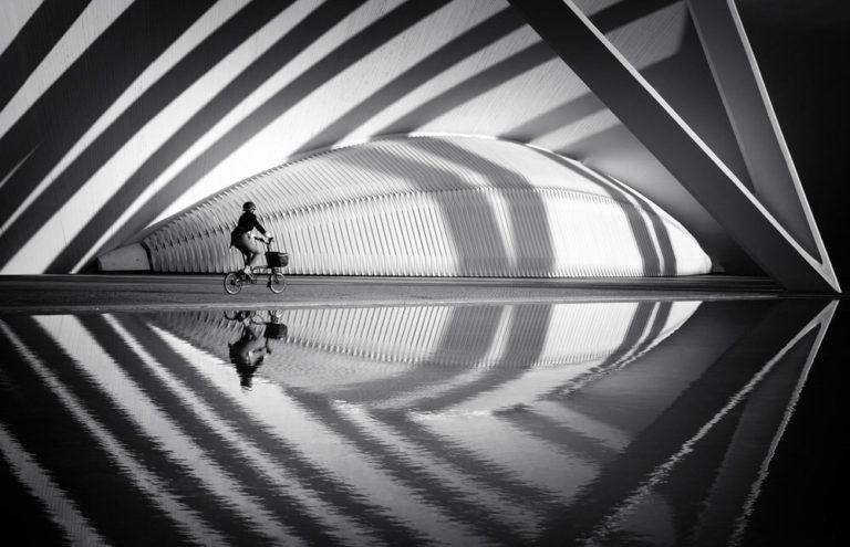 LCE Photographer of the Year 2027: бесплатный конкурс для фотографов со всего мира — фото 5