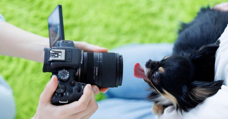 Tamron представила 16-50mm f/2.8 для кропа — светосильный зум сразу для четырёх систем — фото 6