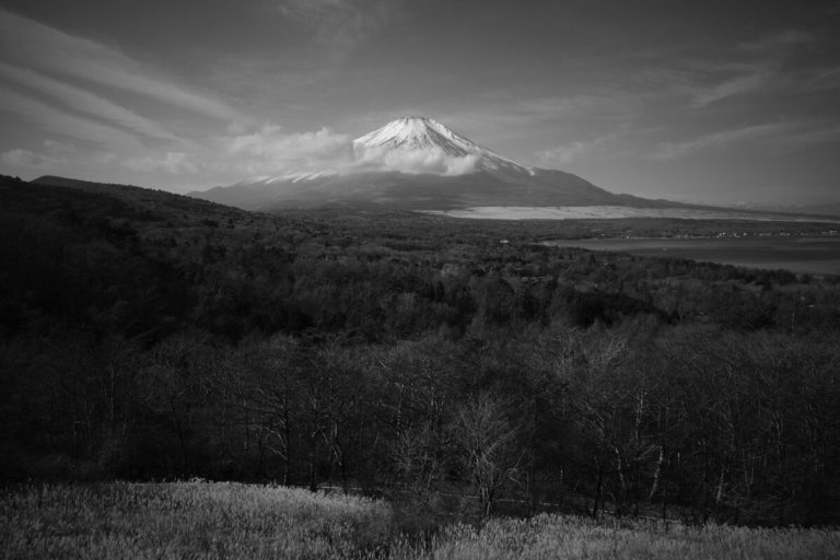 Скрытые ч/б-режимы GR IV Monochrome нашлись в прошивке обычной Ricoh GR IV — фото 3