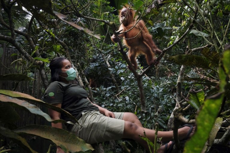 «Кошмар тюленя» и двойная победа юной россиянки: итоги фотоконкурса OurNature 2026 — фото 3