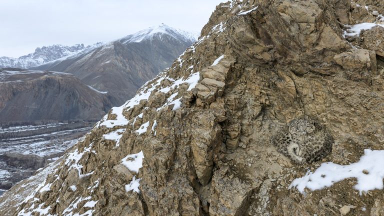 «Кошмар тюленя» и двойная победа юной россиянки: итоги фотоконкурса OurNature 2026 — фото 8