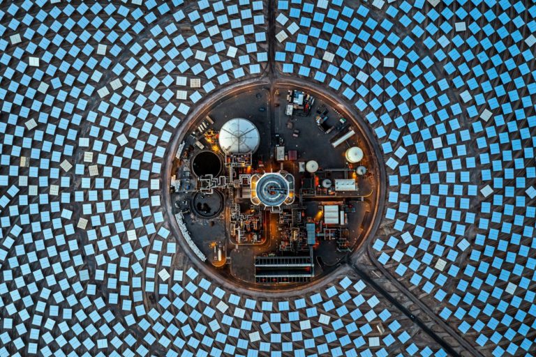 «Кошмар тюленя» и двойная победа юной россиянки: итоги фотоконкурса OurNature 2026 — фото 10